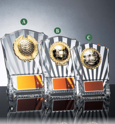 楯 ボールチェンジ6 トロフィー カップ 楯 メダル